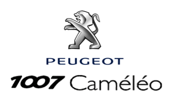 Peugeot 1007 Cameleo